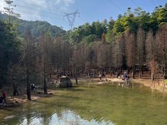 -广州市帽峰山景区