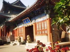 -西安大兴善寺