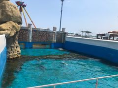 -秦皇岛乐岛海洋王国