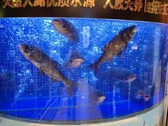 -潇湘码头·鲜湘菜(清河店)