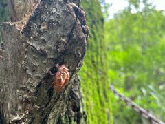 -陕西省红河谷森林公园