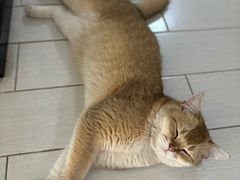 -联合动物医院(光谷诊疗中心)