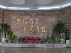 -自贡恐龙博物馆