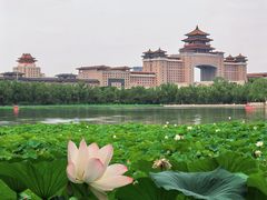 -莲花池公园