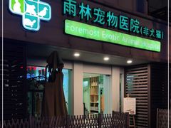-雨林宠物医院 非犬猫异宠专科