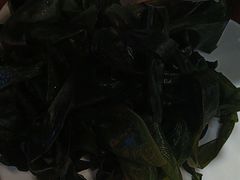 -蓉城老妈火锅(双林路店)