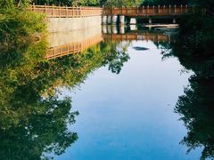 -广州白江湖森林公园