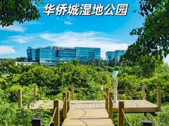 -华侨城湿地公园