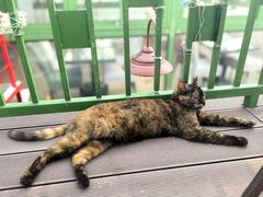 -EATALIA意塔利意式餐厅(鼓楼店)