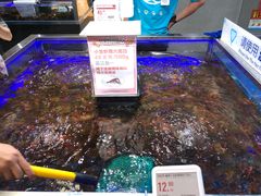 -盒马X会员店(王府井奥莱UP TOWN店)