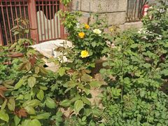 -元大都城垣遗址公园