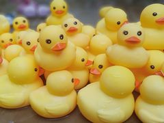 -环球中心海洋乐园