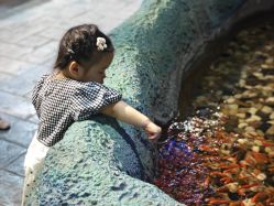 -酷嗒动物文化乐园(cutezoo西溪乐天城店)