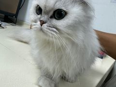 -宠颐生中康贝怡动物医院