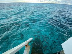 -中央格兰德岛温泉度假酒店 - 全包