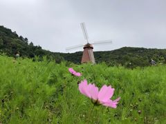 -东海半边山旅游度假区