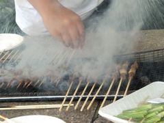 -吴淞炮台湾湿地森林公园烧烤区