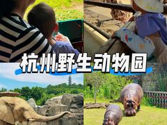 -杭州野生动物世界