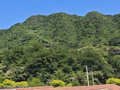 -遇见小院—虹鳟鱼•农家菜(怀柔店)