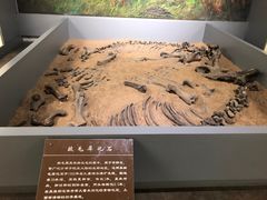 -呼伦贝尔民族博物馆