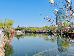 -无锡蠡湖国家湿地公园-蠡园