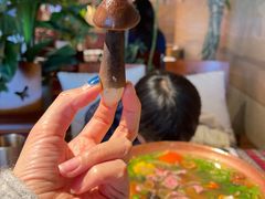 -火塘云南烧烤大排档