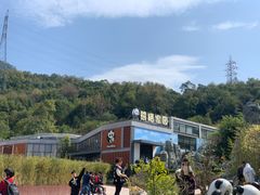 -泉州海丝野生动物世界