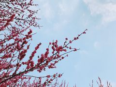 -杭州城北体育公园