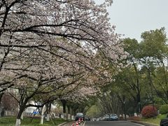 -黄鹤楼