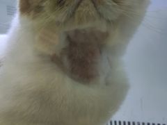 -沐沐家宠物(成寿寺店)