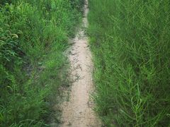 -永定河休闲森林公园