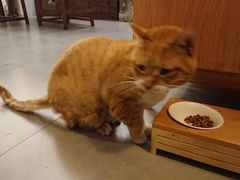 -知亘茶食