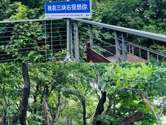 -三块石国家森林公园