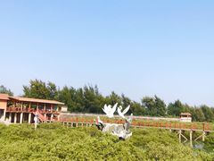 -北海金海湾红树林生态旅游区