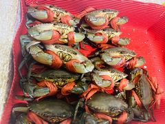 -阿婆潮汕砂锅粥(王府大街店)