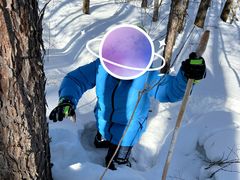 -峡谷浮石林景区