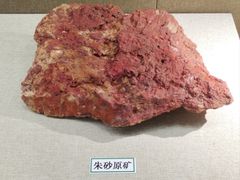 -北京中医药大学-中医药博物馆