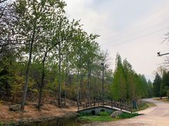 -白水寺森林公园