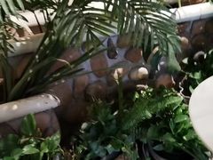 -北里·4k影院式足疗SPA馆(观音桥店)