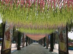 -厦门方特梦幻王国