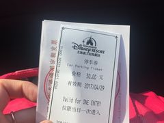-迪士尼乐园停车场