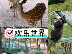 -水上乐园·欢乐世界
