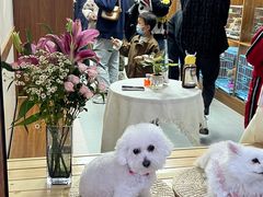 -洛克公园美式运动体验馆(唯品会合肥蜀山城市奥莱店)