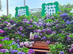 -观澜湖生态运动公社