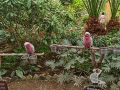 -南宫五洲植物乐园