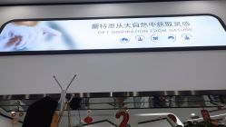 -蕾特恩专业祛痘国际连锁