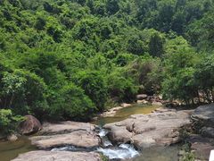 -广州白江湖森林公园