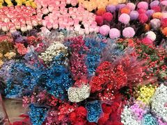 -越秀西湖花市(广州城市广场花卉店)
