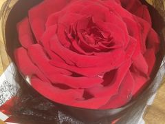 -YC工作室蛋糕定制