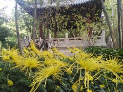 -汇龙潭